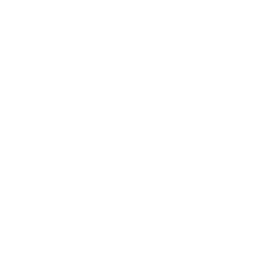 Logo Soul Alliance Band